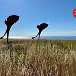 Salicorne Avec Vue Sur