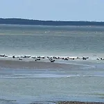 Salicorne Avec Vue Sur Le Tréport