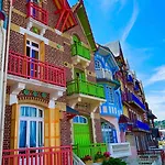 Salicorne Avec Vue Sur Le Tréport