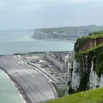 Salicorne Avec Vue Sur