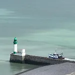 Salicorne Avec Vue Sur