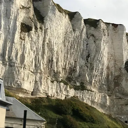 Salicorne Avec Vue Sur Le Tréport