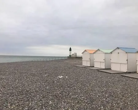 Salicorne Avec Vue Sur Le Tréport