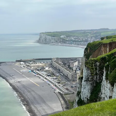 Salicorne Avec Vue Sur