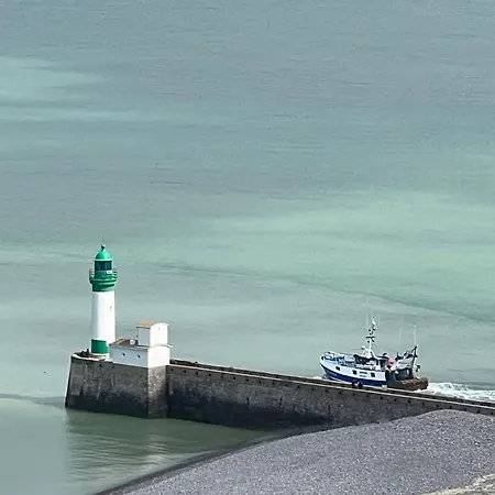 Salicorne Avec Vue Sur