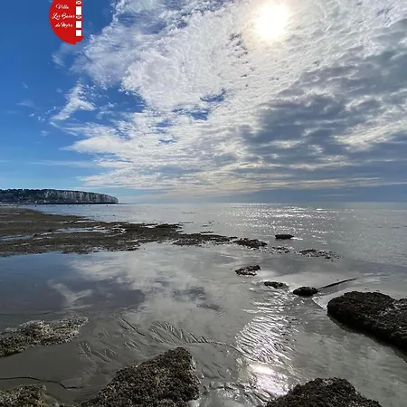 Salicorne Avec Vue Sur Le Tréport